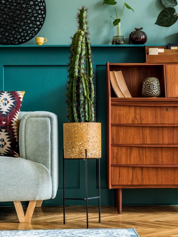 Stylish composition of living room interior with retro wooden cabinet, mint sofa, pillows, plaid, cacti, plants, decoration on the shelf and elegant personal accessories. Vintage home decor. Template